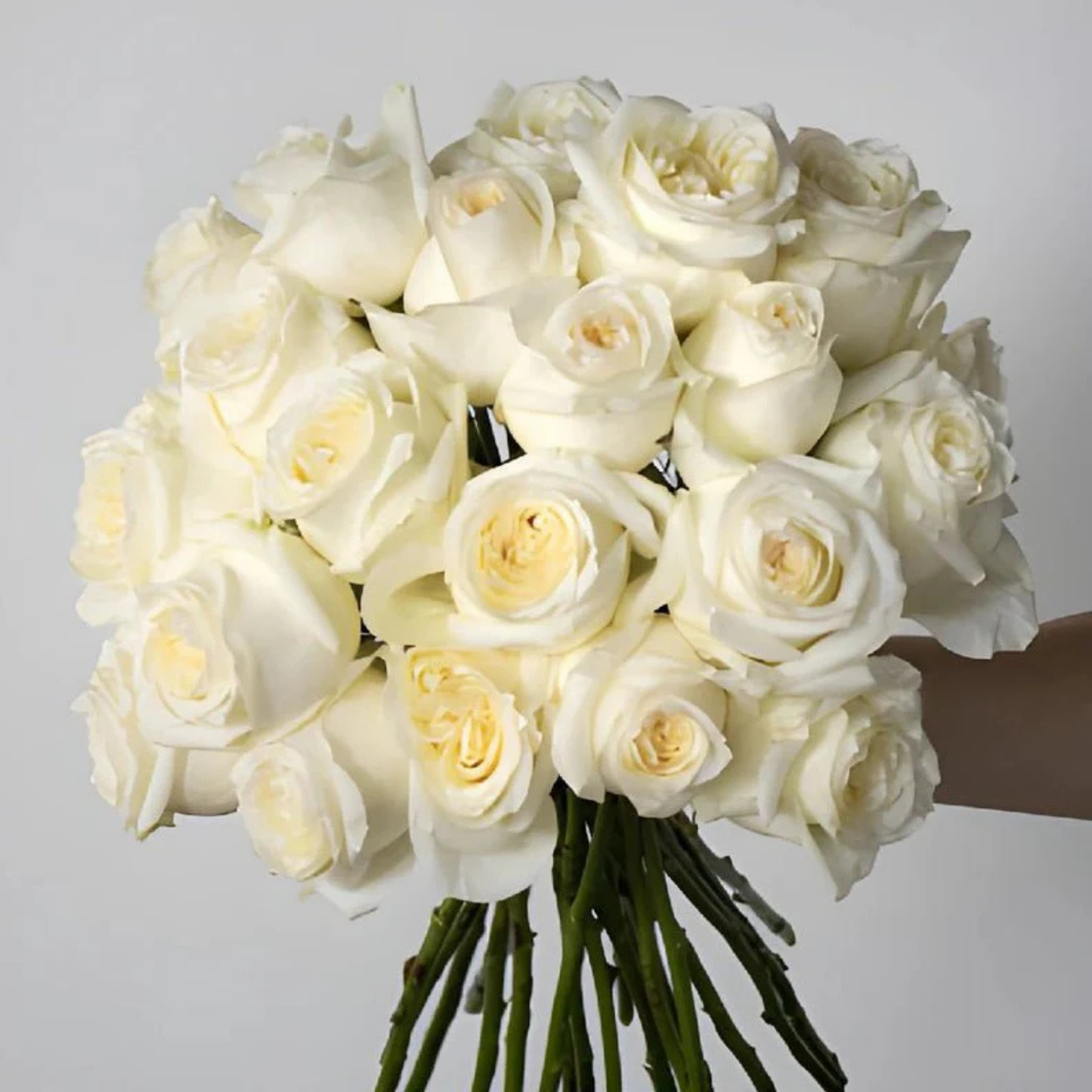 WHITE ROSES