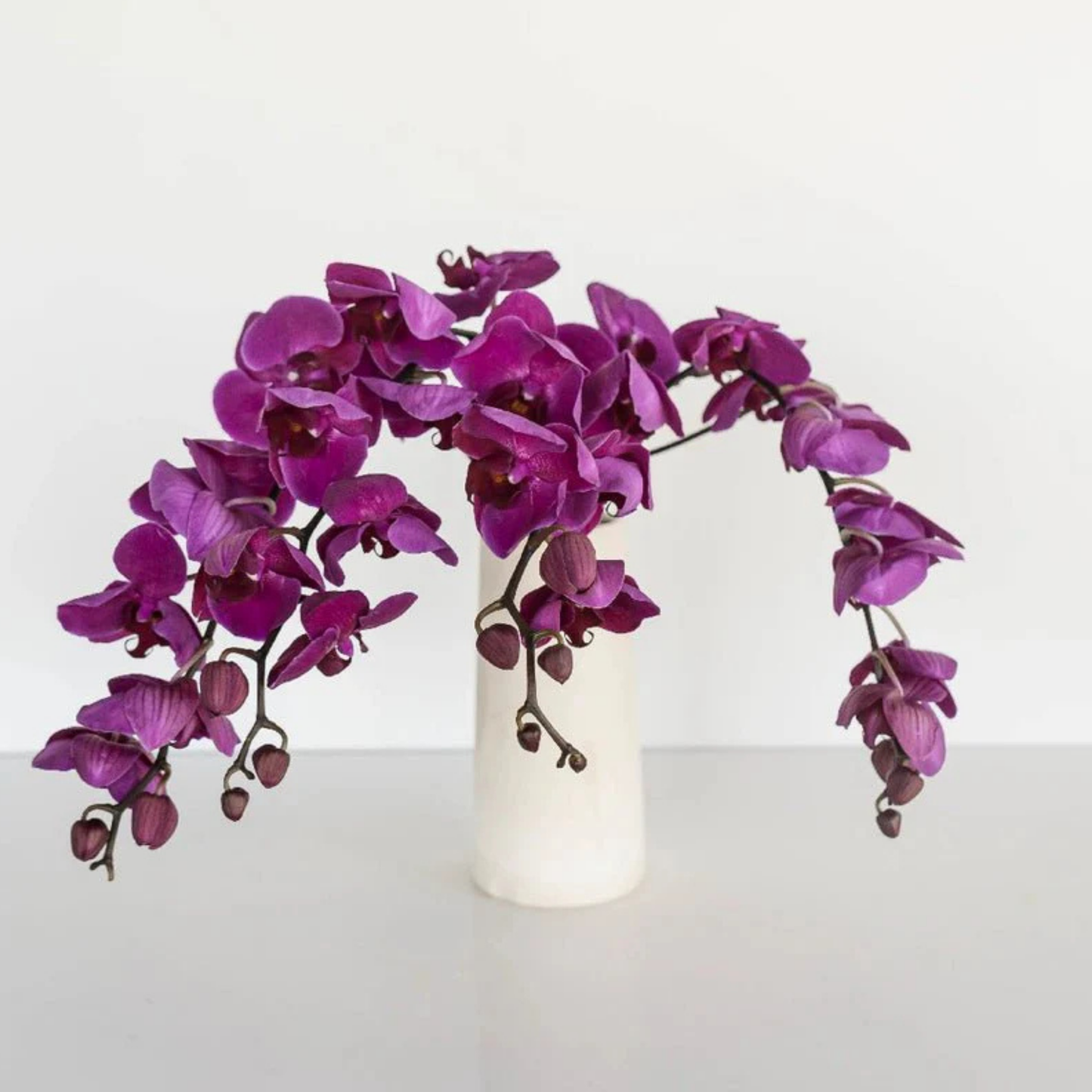 PURPLE ORCHIDS