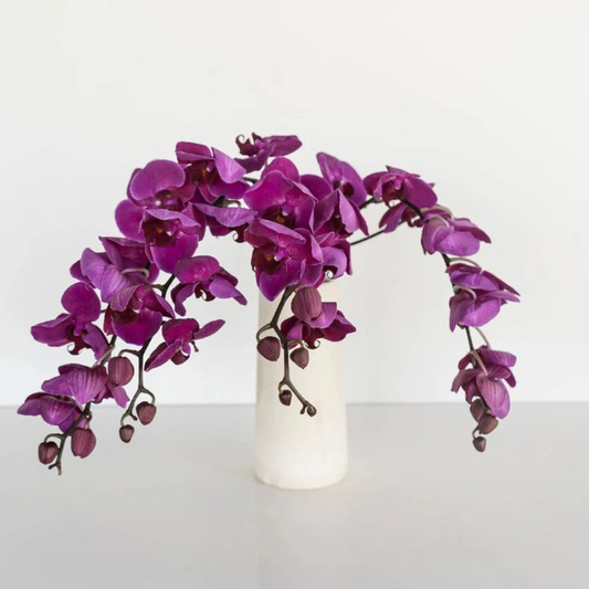 PURPLE ORCHIDS