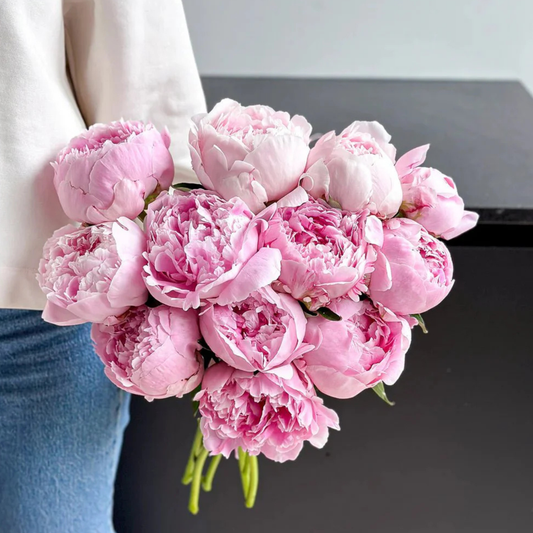 PINK PEONIES