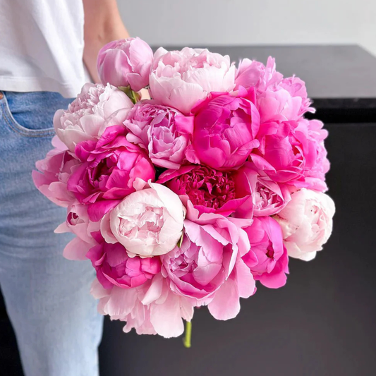 PEONIES MIX