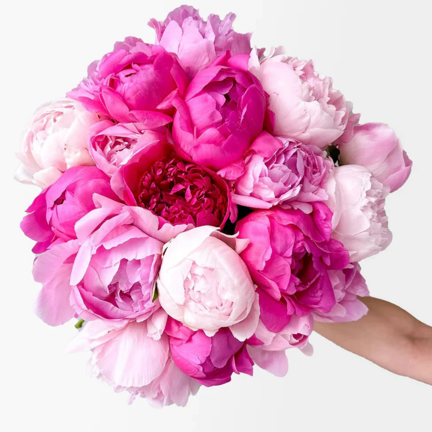 PEONIES MIX