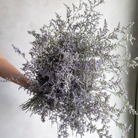 Bunch of Limonium