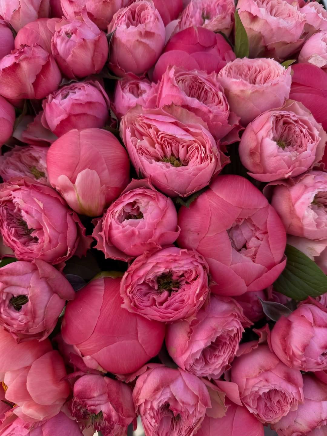 Coral Rose Bouquet